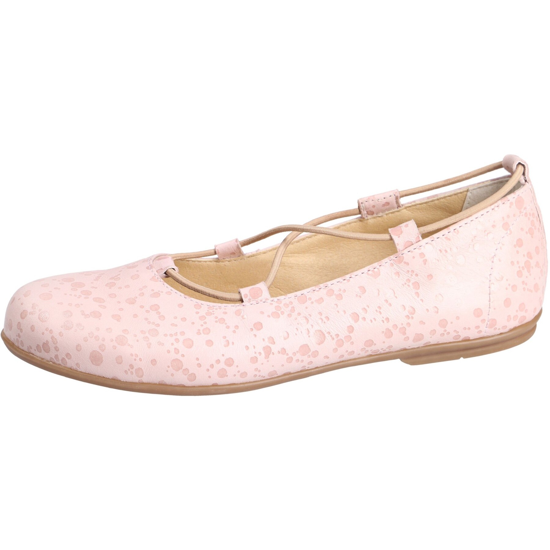 Geek lachs Kaltfutter