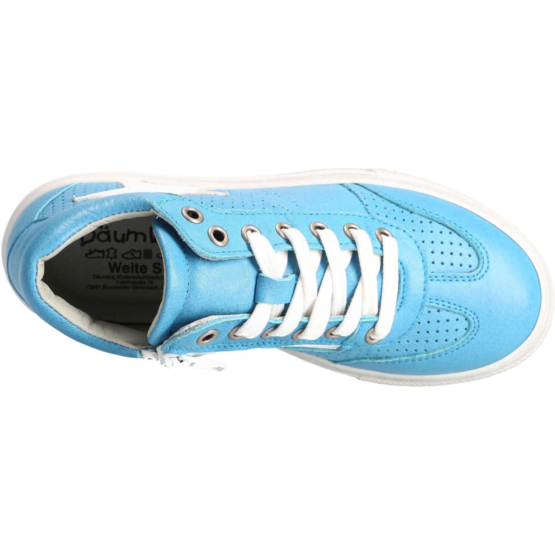 blaue mid cut draufsicht