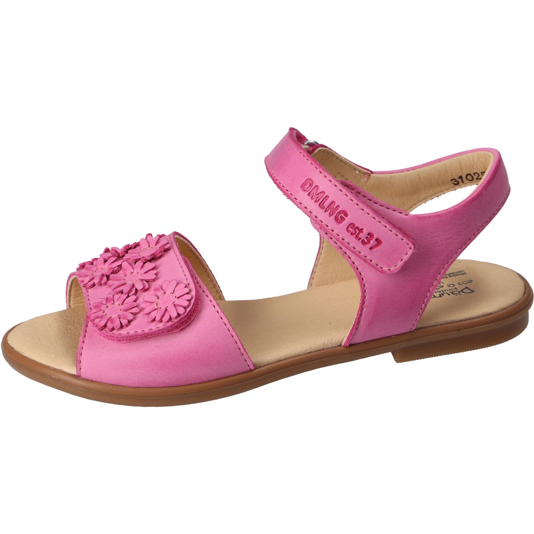 Chalk ciclamino Kaltfutter