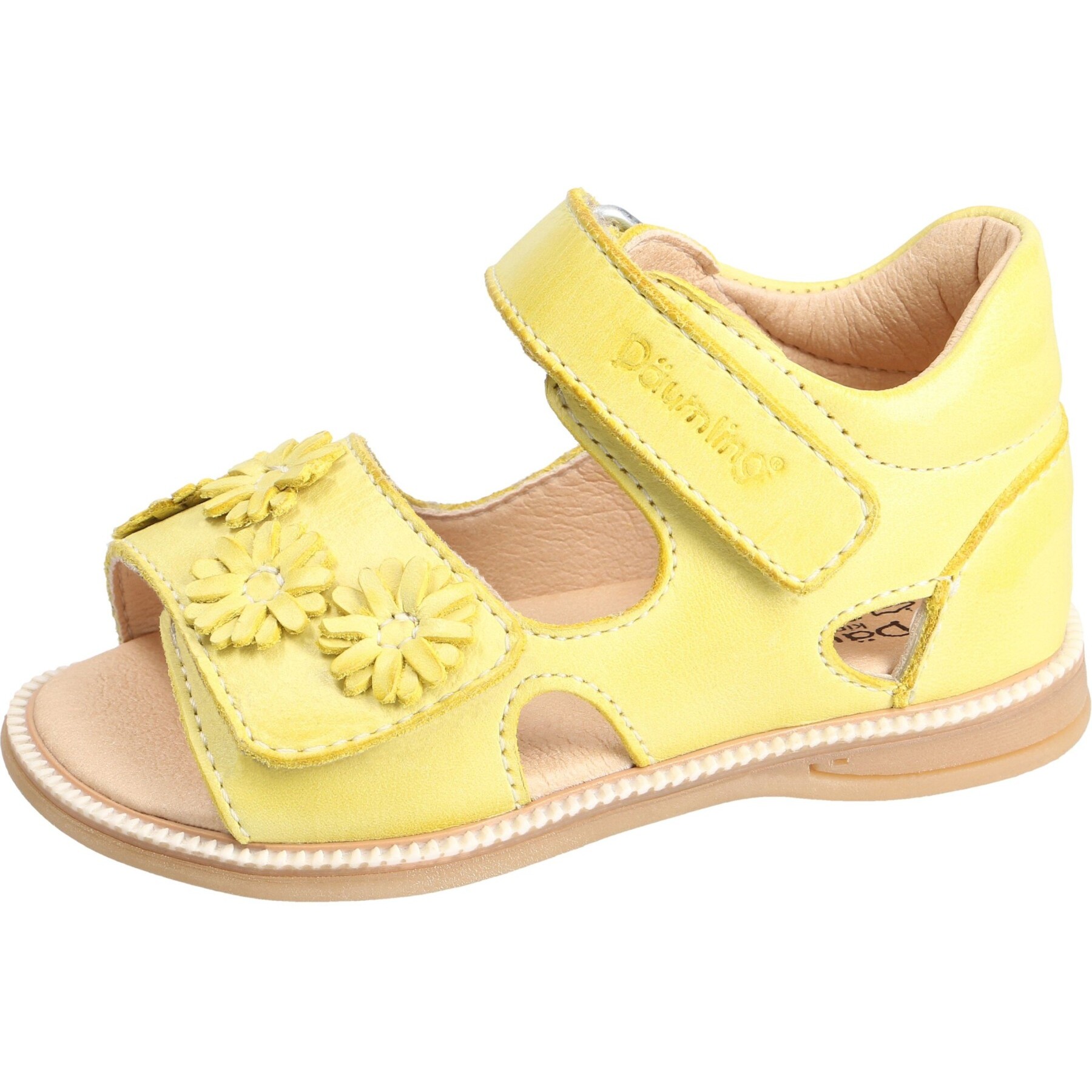 Chalk lemon Kaltfutter