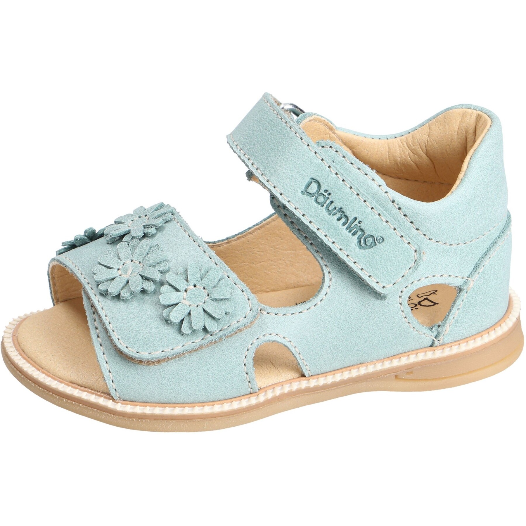 Celeste mint Kaltfutter