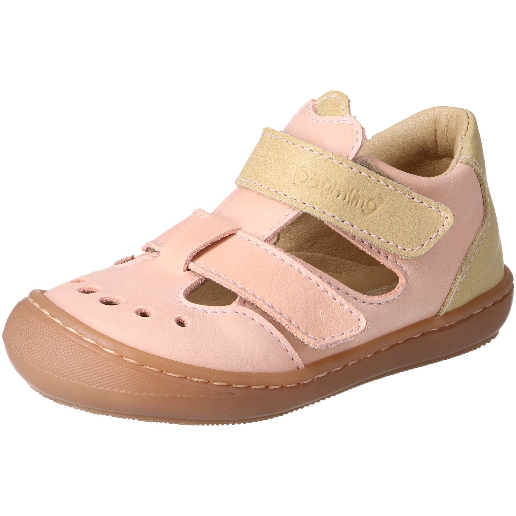 Celeste lachs Kaltfutter