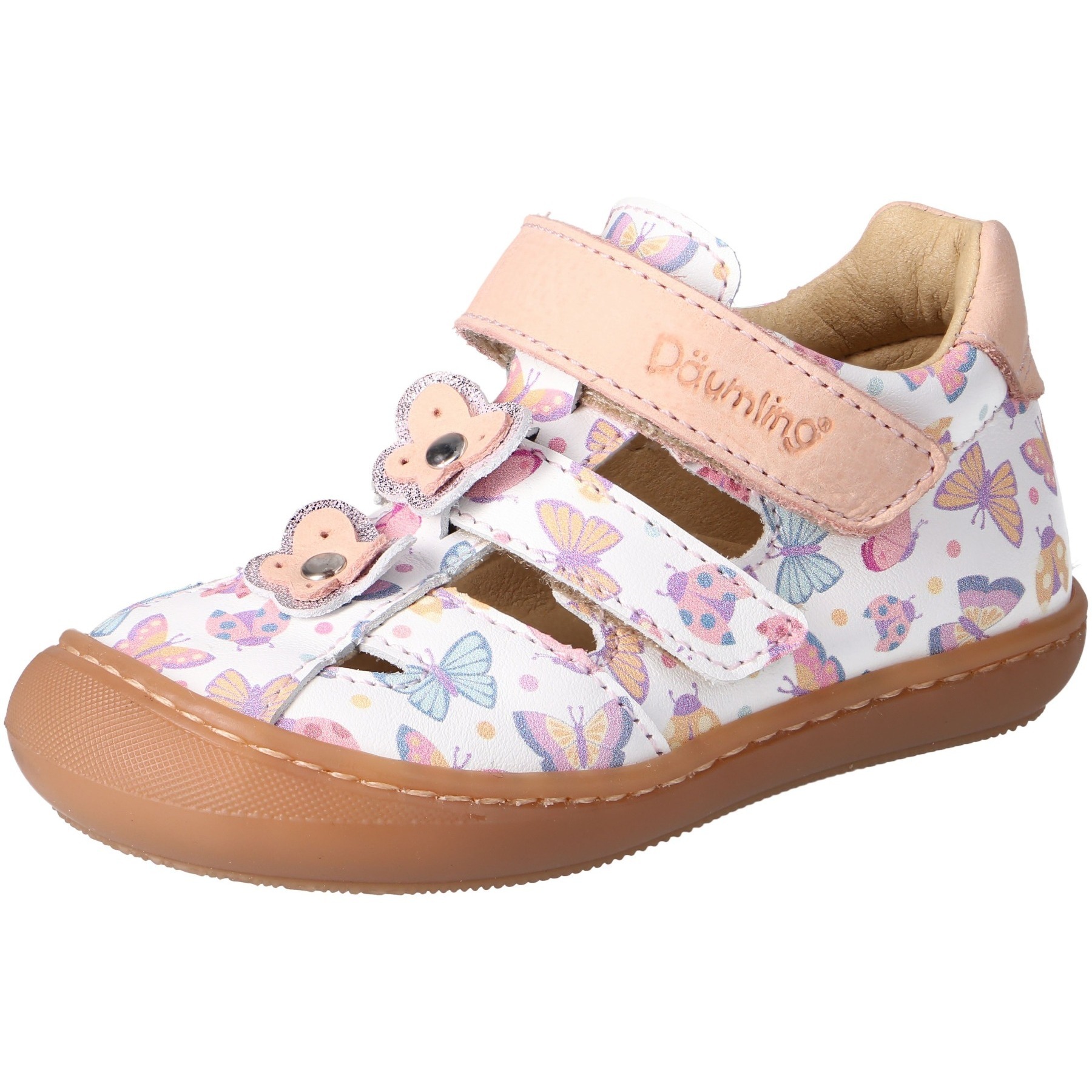 Kashmir weiß butterflies Kaltfutter